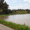 El arroyo Guerrero inunda badenes en Novelda y Sagrajas
