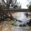El arroyo Guerrero inunda badenes en Novelda y Sagrajas