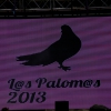 Las mejores imágenes de Los Palomos 2013, parte II