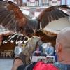 Arranca Al Mossassa con la inauguración del mercado árabe