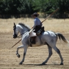 Concurso Nacional de Acoso y Derribo en Badajoz