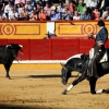 Imágenes de la primera tarde de feria taurina en Badajoz