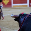 Imágenes de la novillada de la Feria Taurina de Badajoz 2013