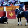 Imágenes de la primera tarde de feria taurina en Badajoz