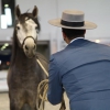 Imágenes de la inauguración de la Feria Ecuextre Badajoz