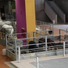 Imágenes de la inauguración de la Feria Ecuextre Badajoz