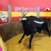 Imágenes de la inauguración de la Feria Ecuextre Badajoz