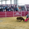 Continúa la actividad de la Feria del Toro y el Caballo Ecuextre 2013 Badajoz