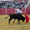 Continúa la actividad de la Feria del Toro y el Caballo Ecuextre 2013 Badajoz