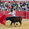 Continúa la actividad de la Feria del Toro y el Caballo Ecuextre 2013 Badajoz