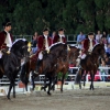 Imágenes del espectáculo de arte ecuestre de las Escuelas Andaluza y Portuguesa 