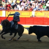 Imágenes de la primera tarde de feria taurina en Badajoz