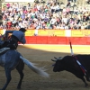 Imágenes de la primera tarde de feria taurina en Badajoz