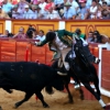 Imágenes de la primera tarde de feria taurina en Badajoz