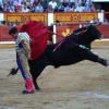 Imágenes de la novillada de la Feria Taurina de Badajoz 2013