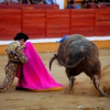 Imágenes de la novillada de la Feria Taurina de Badajoz 2013