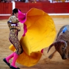 Imágenes de la novillada de la Feria Taurina de Badajoz 2013