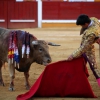 Imágenes de la novillada de la Feria Taurina de Badajoz 2013