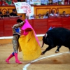 Imágenes de la novillada de la Feria Taurina de Badajoz 2013