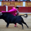 Imágenes de la novillada de la Feria Taurina de Badajoz 2013