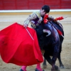 Imágenes de la novillada de la Feria Taurina de Badajoz 2013