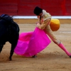 Imágenes de la novillada de la Feria Taurina de Badajoz 2013