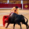 Imágenes de la novillada de la Feria Taurina de Badajoz 2013