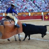 Imágenes de la corrida de El Juli, Manzanares y Ferrera en Badajoz