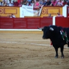 Imágenes de la corrida de El Juli, Manzanares y Ferrera en Badajoz