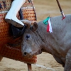 Imágenes de la corrida de Talavante, Perera y Morante en Badajoz