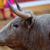 Imágenes de la corrida de Talavante, Perera y Morante en Badajoz