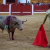 Imágenes de la corrida de Talavante, Perera y Morante en Badajoz