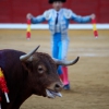 Imágenes de la corrida de Talavante, Perera y Morante en Badajoz