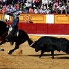 Imágenes de la primera tarde de feria taurina en Badajoz