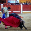 Imágenes de la novillada de la Feria Taurina de Badajoz 2013