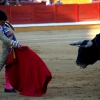 Imágenes de la novillada de la Feria Taurina de Badajoz 2013