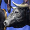 Imágenes de la inauguración de la Feria Ecuextre Badajoz