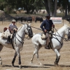 Concurso Nacional de Acoso y Derribo en Badajoz