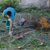 Comienzan las obras en los Jardines de la Galera