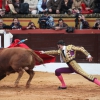 Reportaje fotográfico de la corrida de El Juli, Perera y Padilla en Olivenza