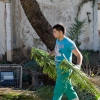 Comienzan las obras en los Jardines de la Galera