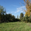 Imágenes en exclusiva del Parque Ascensión de Badajoz