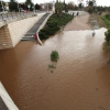 El caudal del Guadiana en Badajoz alcanza al Paseo Fluvial