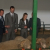 Los Reyes de España inauguran la Feria Internacional Ganadera de Zafra