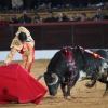 Reportaje fotográfico de la corrida de El Juli, Perera y Padilla en Olivenza