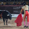 Reportaje fotográfico de la corrida de El Juli, Perera y Padilla en Olivenza