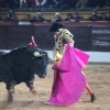 Reportaje fotográfico de la corrida de El Juli, Perera y Padilla en Olivenza