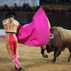 Reportaje fotográfico de la corrida de El Juli, Perera y Padilla en Olivenza