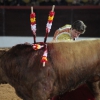 Reportaje fotográfico de la corrida de El Juli, Perera y Padilla en Olivenza