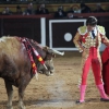 Reportaje fotográfico de la corrida de El Juli, Perera y Padilla en Olivenza